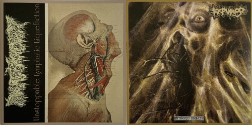 Pharmacist : Expurgo - Pharmacist